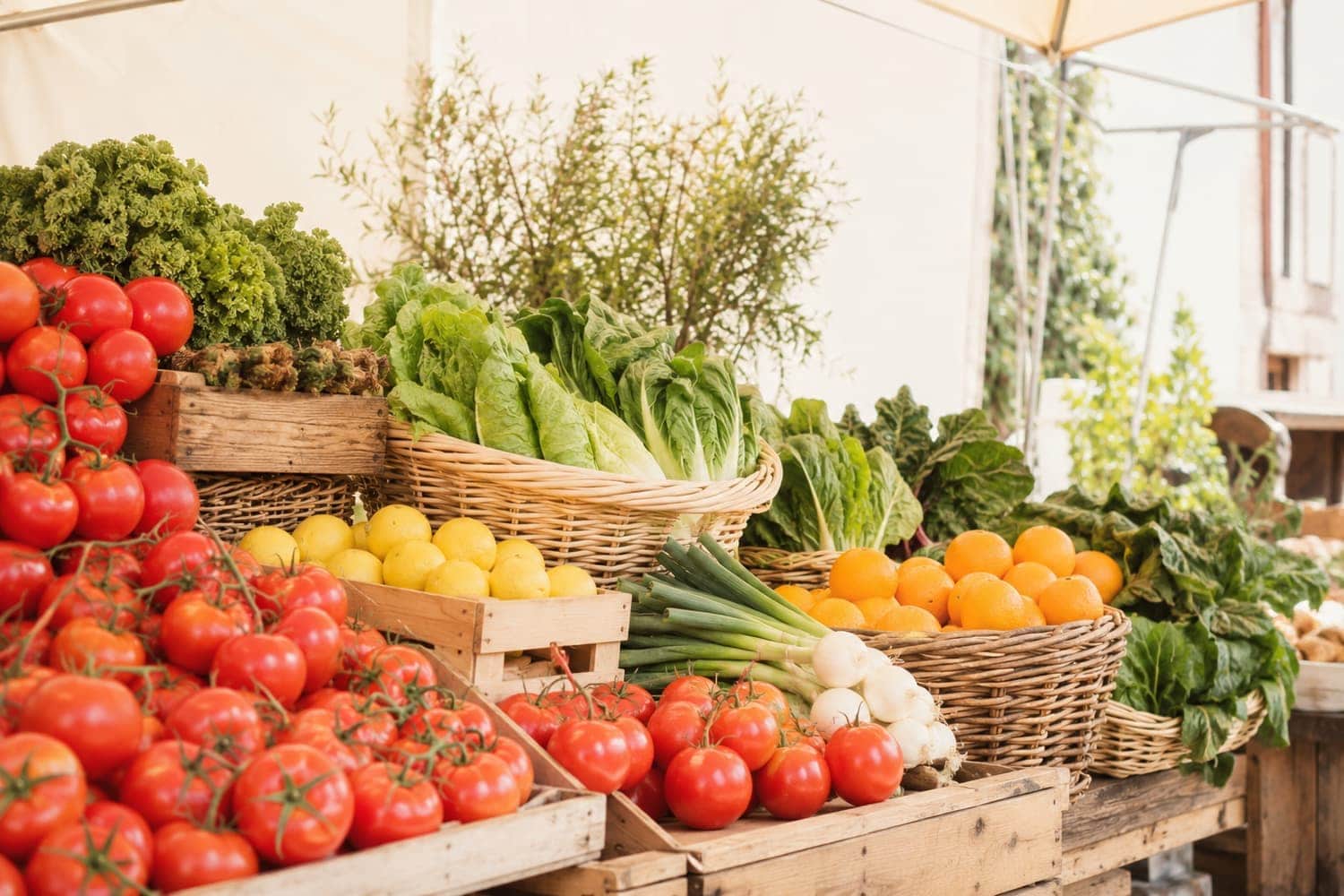 Market produce stall in full color under bright daylight