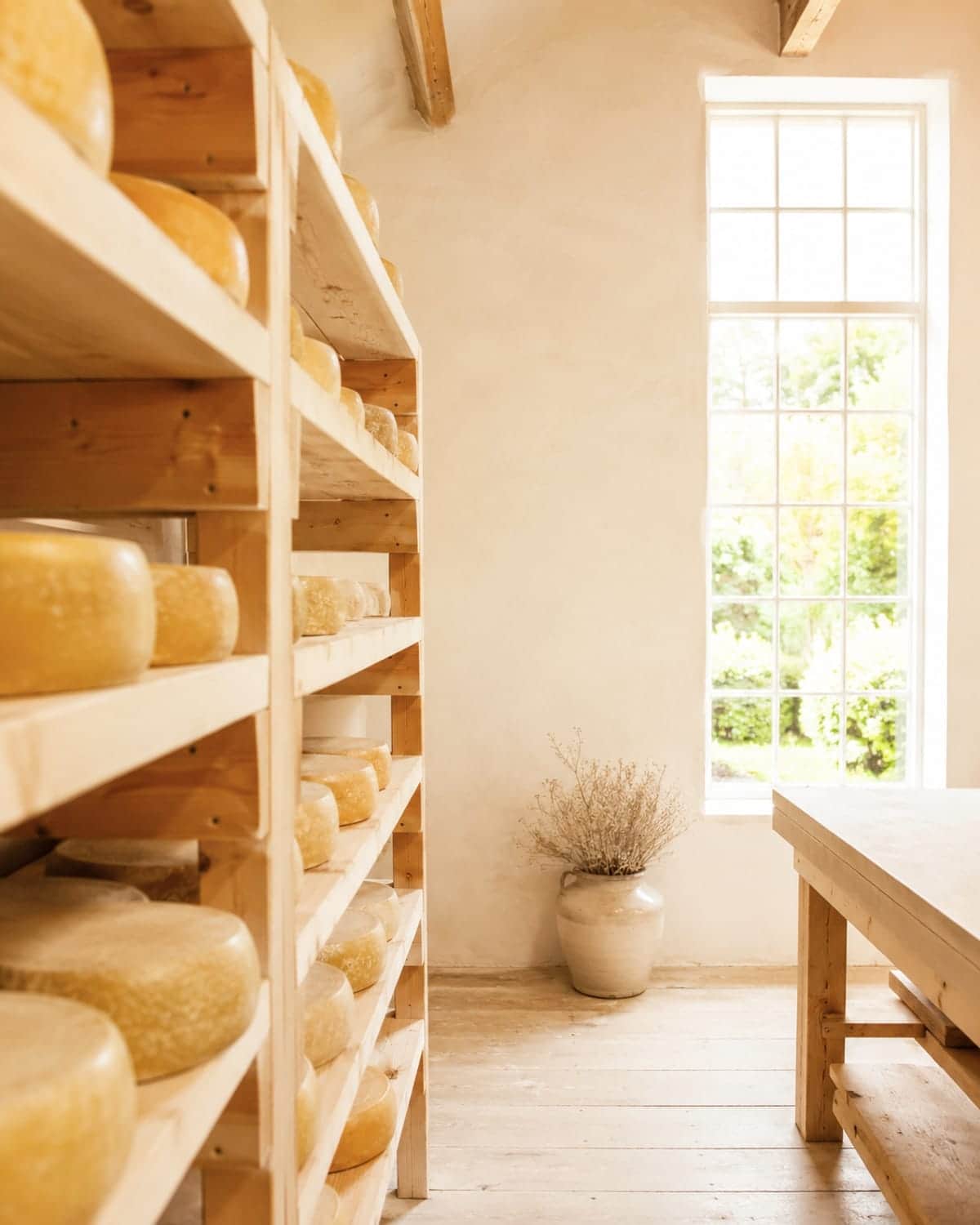 A sunlit artisan cheese room with wheels resting on pale wooden shelves under a high window.